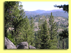 View of the Sierras - Photography by Keith Howchi Kilburn