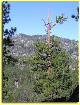 View of the Sierras - Photography by Keith Howchi Kilburn