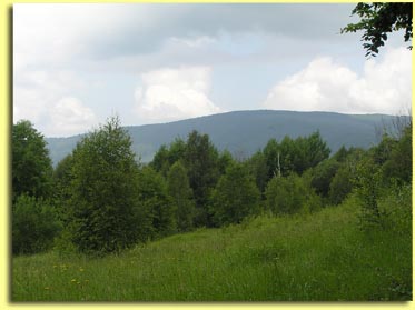 Looking West from Basecamp, Carpathian Mountains, Ukraine